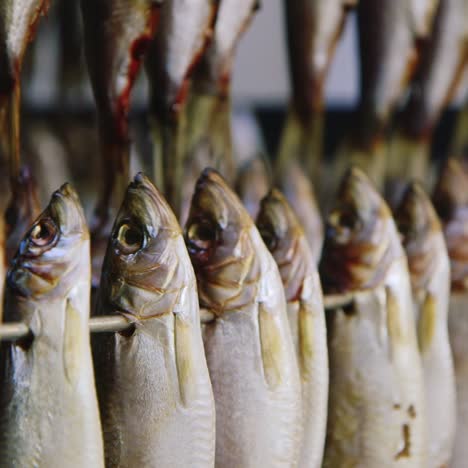 soporte con pescado secado por flujo de aire 1