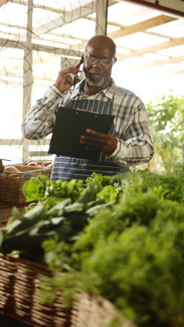 vertical video of african american male shopkeeper talking on smartphone at food shop, slow motion