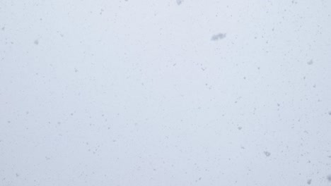 grandes copos de nieve caen contra un cielo brillante