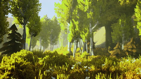 bosque verde exuberante con la luz del sol que fluye a través de los árboles al mediodía