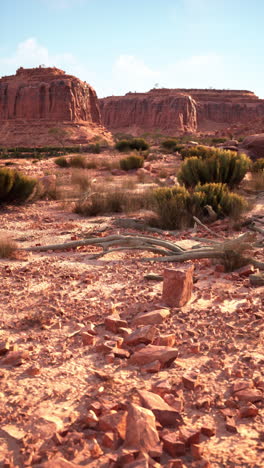 desert landscape with red rock formations