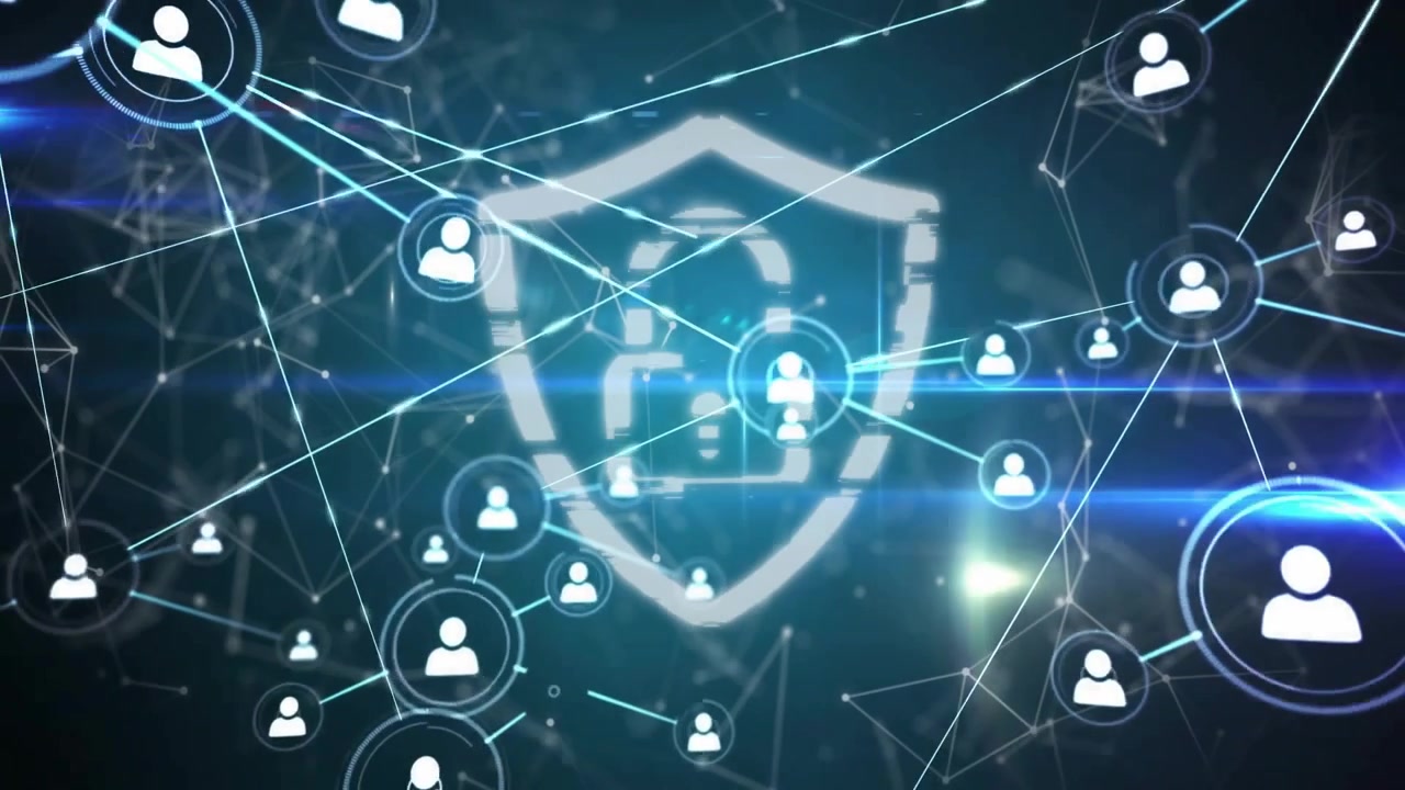 Digital Security Network with User Connections and Protective Shield