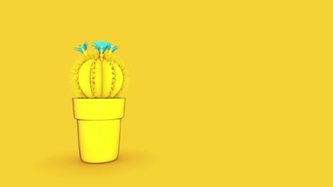 el cactus 4k