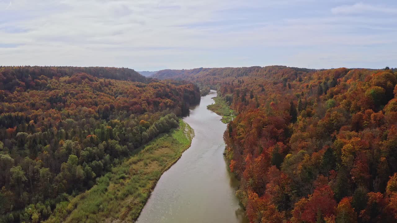 vuelo suave sobre un río rodeado de maravillosos colores otoñales de las copas de los árboles de un bosque: disparo de drones en 4k desde baviera, alemania