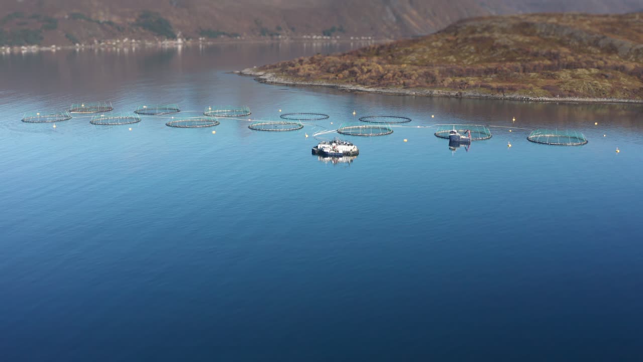 노르웨이 피요르드의 연어 양식장