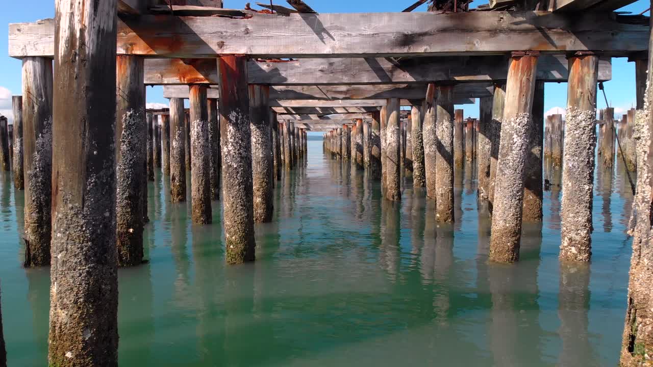 드론이  ⁇ 먼 밀  ⁇ 에서 날아다니고 있습니다. 오후 중 타코마 와