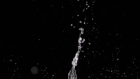 splattering water on a black background