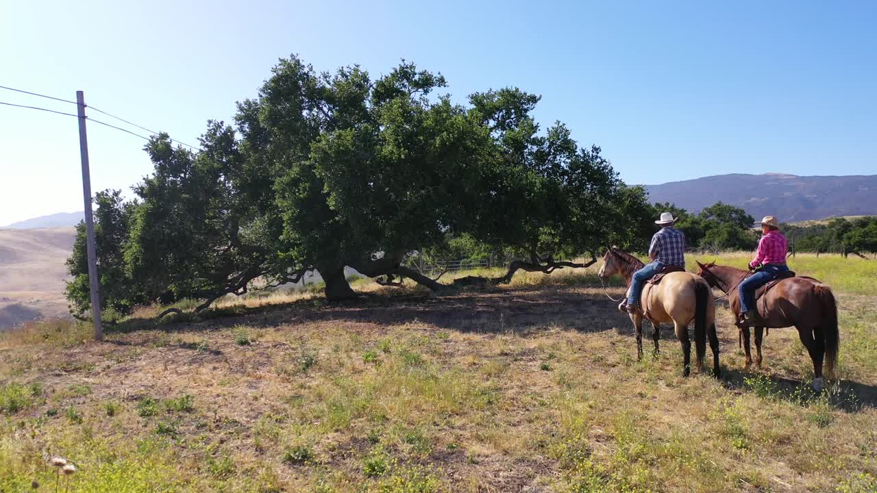 pareja de jubilados aéreos montando caballos en los robles de la cima de la montaña en un rancho cerca de santa barbara california 1