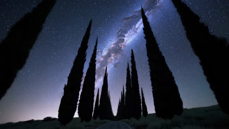cypress trees under the milky way