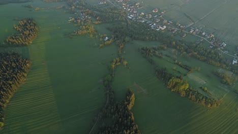 Nadelwald-In-Immergrünen-Wiesen-In-Der-Nähe-Eines-Ruhigen-Ländlichen-Dorfes-Im-Winter