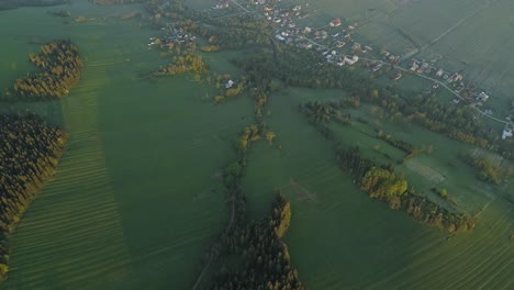 coniferous forest in evergreen meadows near peaceful rural village during winter