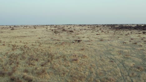 Jeep-driving-through-Namibia,-Africa.-Aerial-sideways