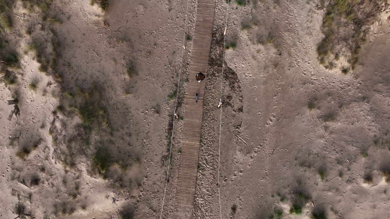 vista aérea de arriba hacia abajo de una mujer y un perro caminando en la plataforma de la playa