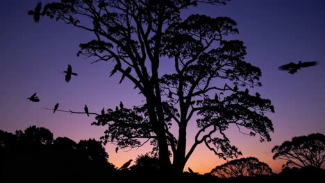 silhouette of birds on a tree at sunrise/sunset