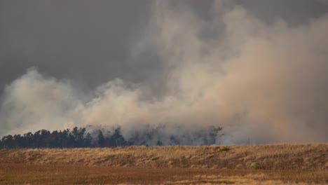 Fuego-De-Calwood-Ardiendo-En-La-Cordillera-Frontal-Del-Norte-De-Colorado