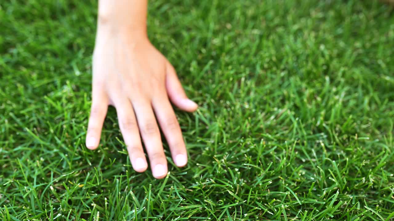 la mano en el césped