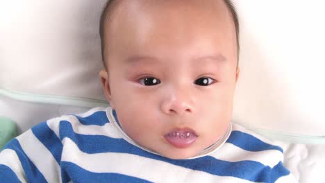 baby portrait