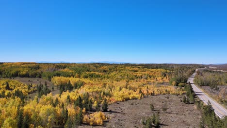 Vista-De-Pájaro-Drone-Siguiendo-El-Cambio-De-Estación-De-Las-Hojas-En-El-Norte-De-Colorado