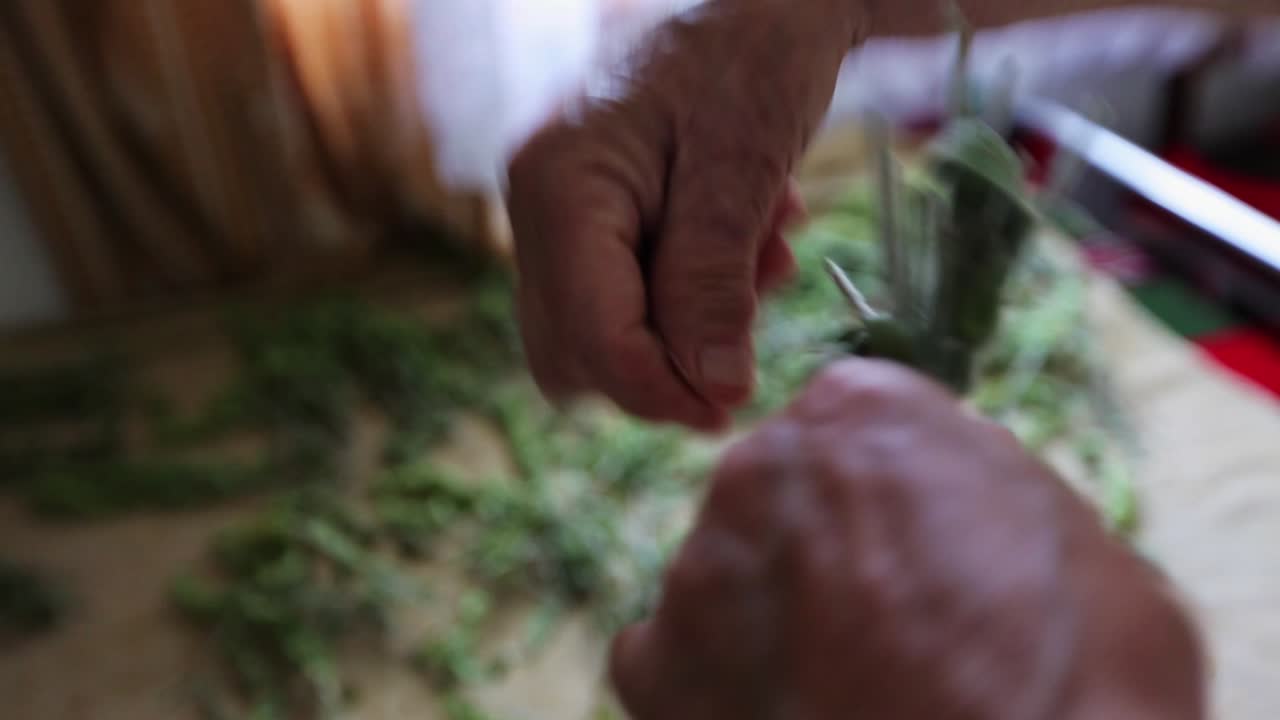 Old lady preparing herbs for tea