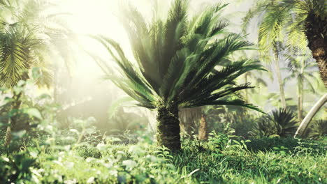 lush tropical landscape with vibrant palms basking in golden sunlight