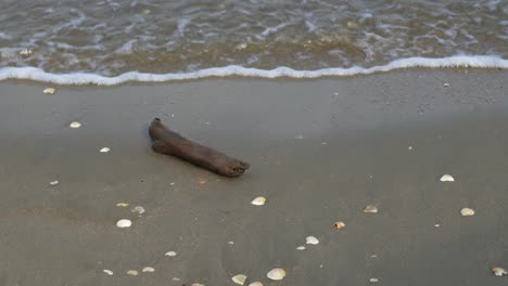 a wooden block is hit by wave.