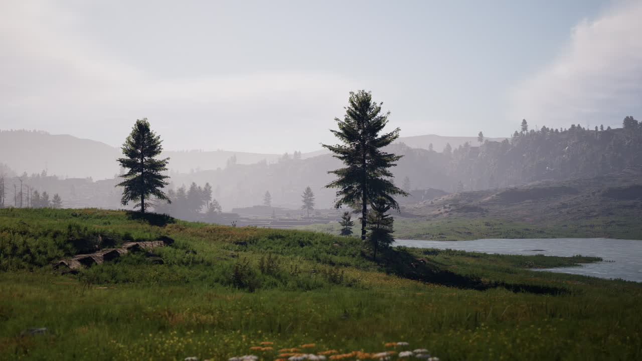 швейцарские альпы с зелеными альпийскими лугами на склоне холма и окружены сосновыми лесами