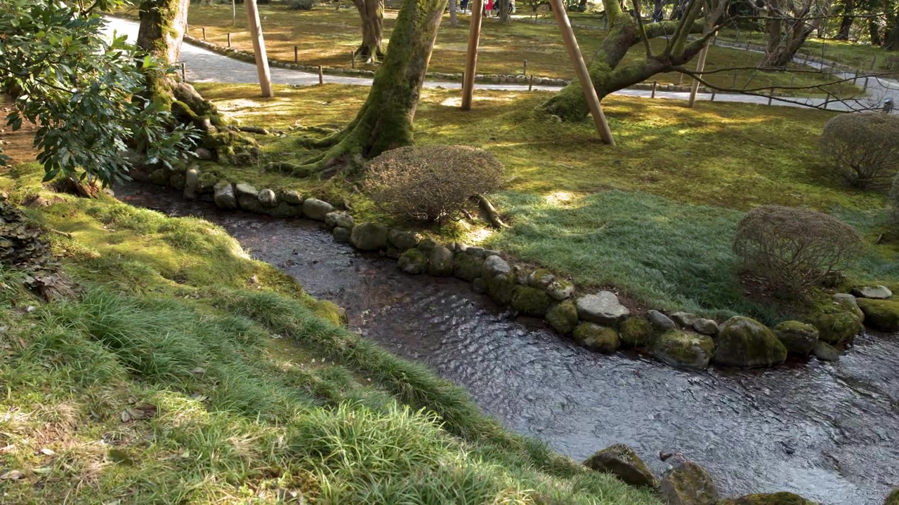 豊かな苔と木々の間を蛇行する穏やかな小川を、静止したワイドショットで捉える。