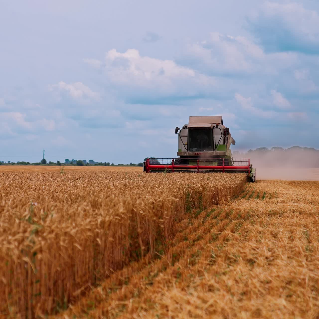 Combine Agriculture Machinery Technology. Grain harvester working in field gathering crop of wheat