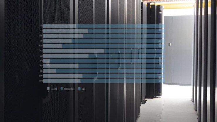 Animation of data processing over computer servers