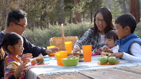 parents and kids sharing food at a picnic table, side view