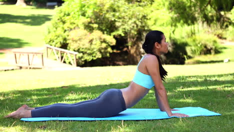 Chica-Asiática-En-Forma-Haciendo-Yoga-En-El-Parque