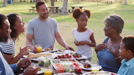 Familie-Mit-Mehreren-Generationen-Genießt-Gemeinsam-Ein-Picknick-Im-Park