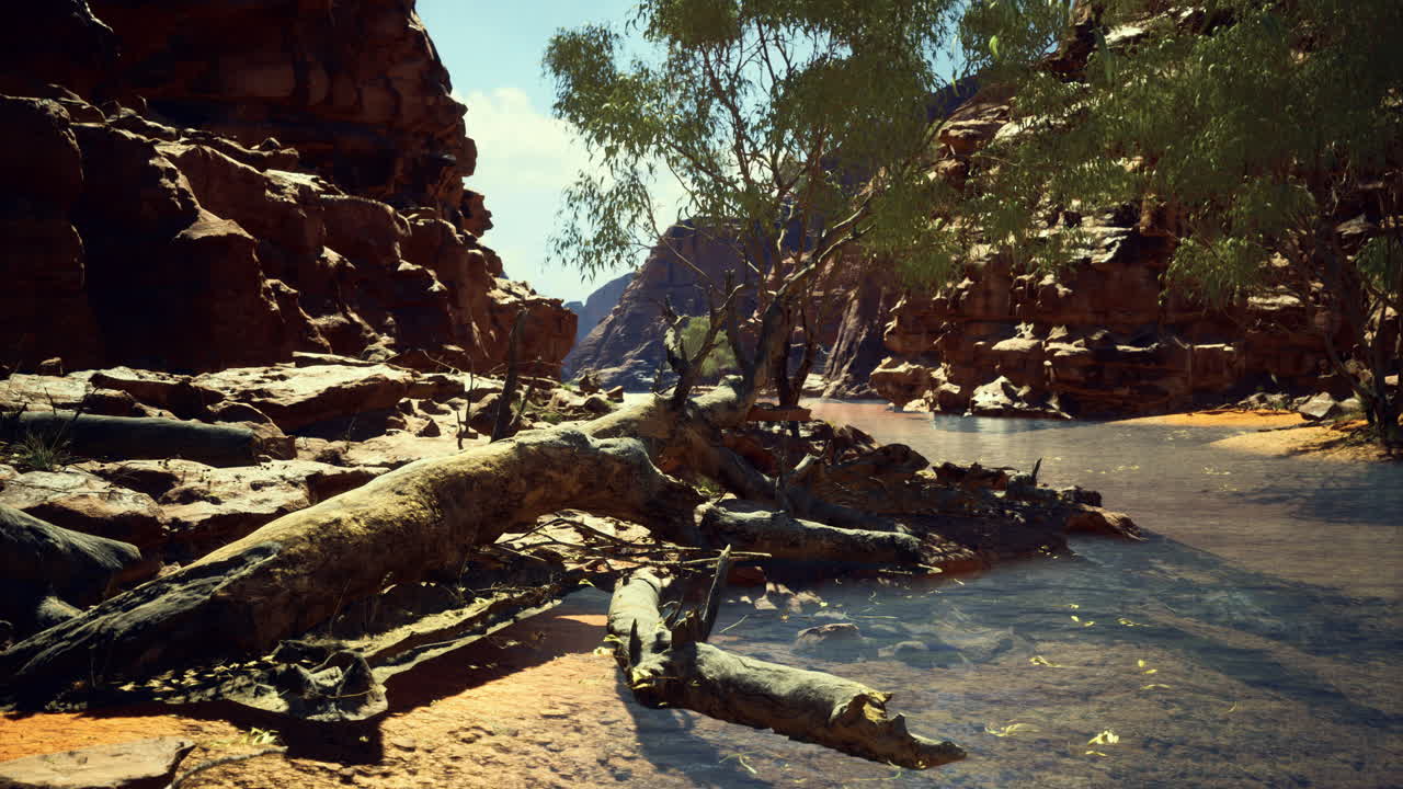 Serene riverside scene with fallen tree and lush greenery