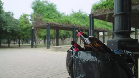 garrafas de cerveja enchendo lata de lixo em parque público, tiro de detalhe envolvente