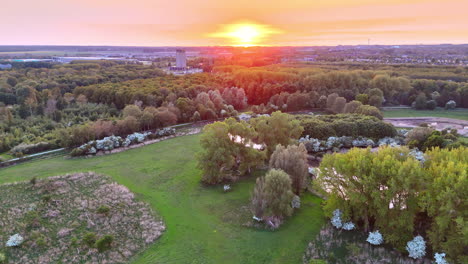 setting sun in the orange sky over the horizon. drone footage over the forest and lawn.
