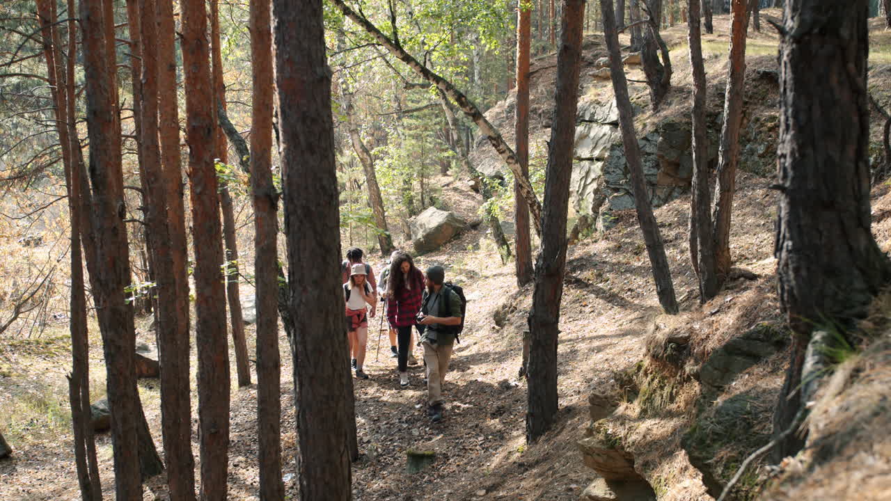 excursionistas en un sendero forestal