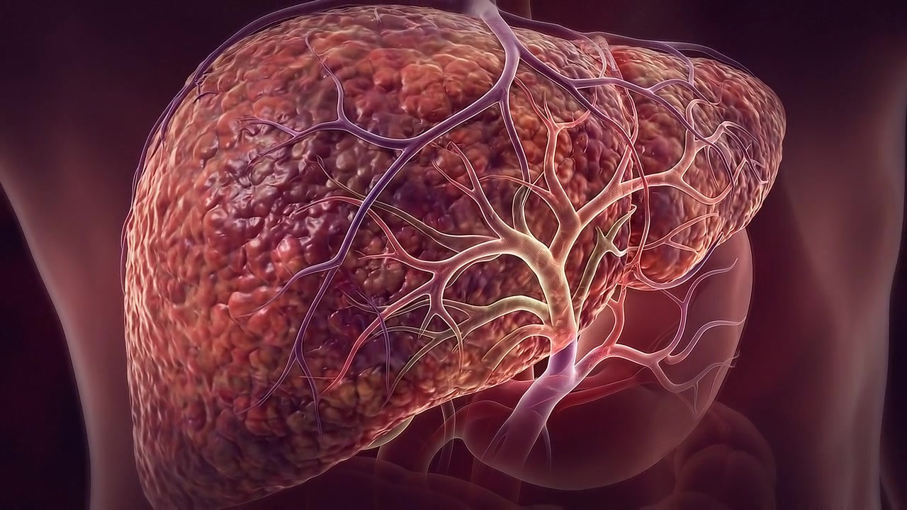 Rendering microscopico dei dettagli cellulari dell'organo fegato umano in ambiente scuro