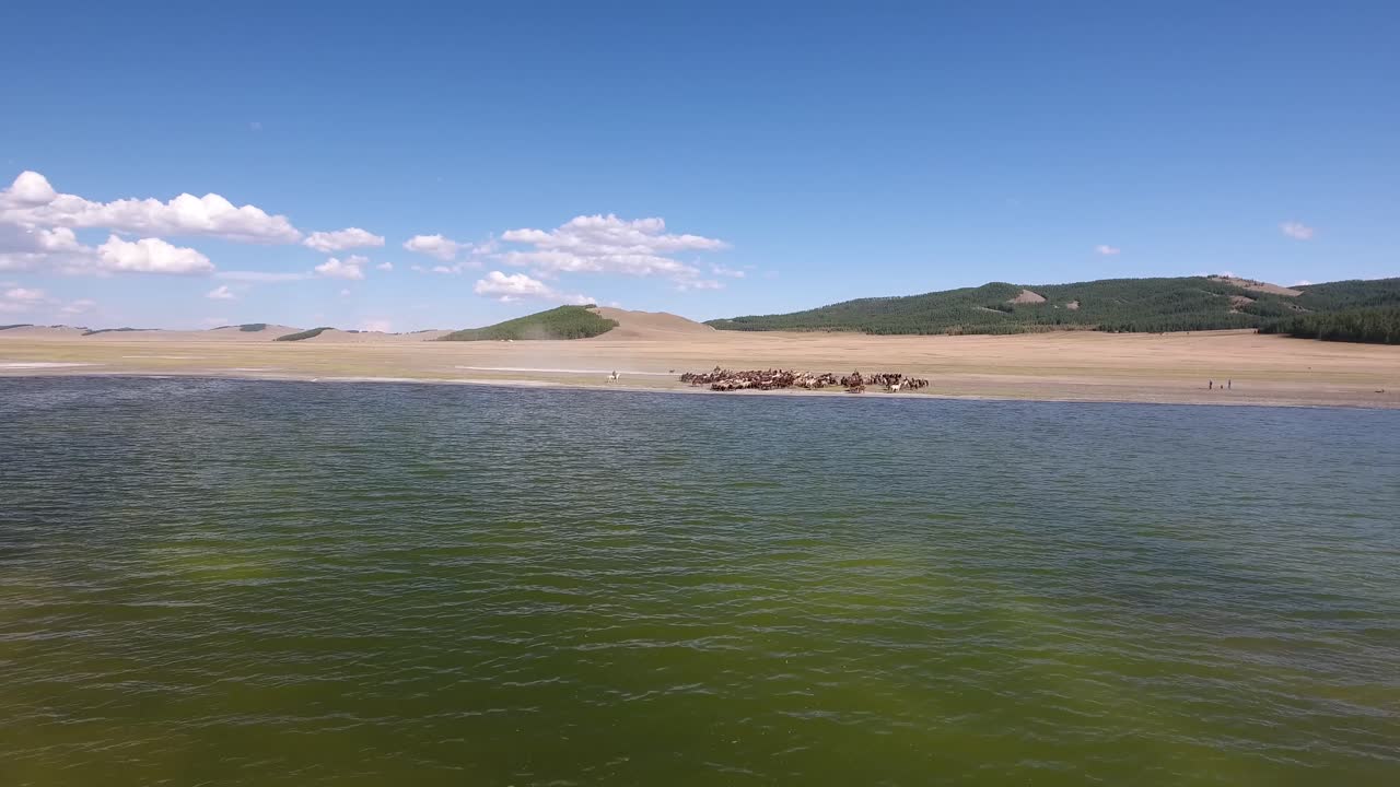 zoom desde un lago en mongolia hasta una manada de caballos caminando a lo largo del agua.