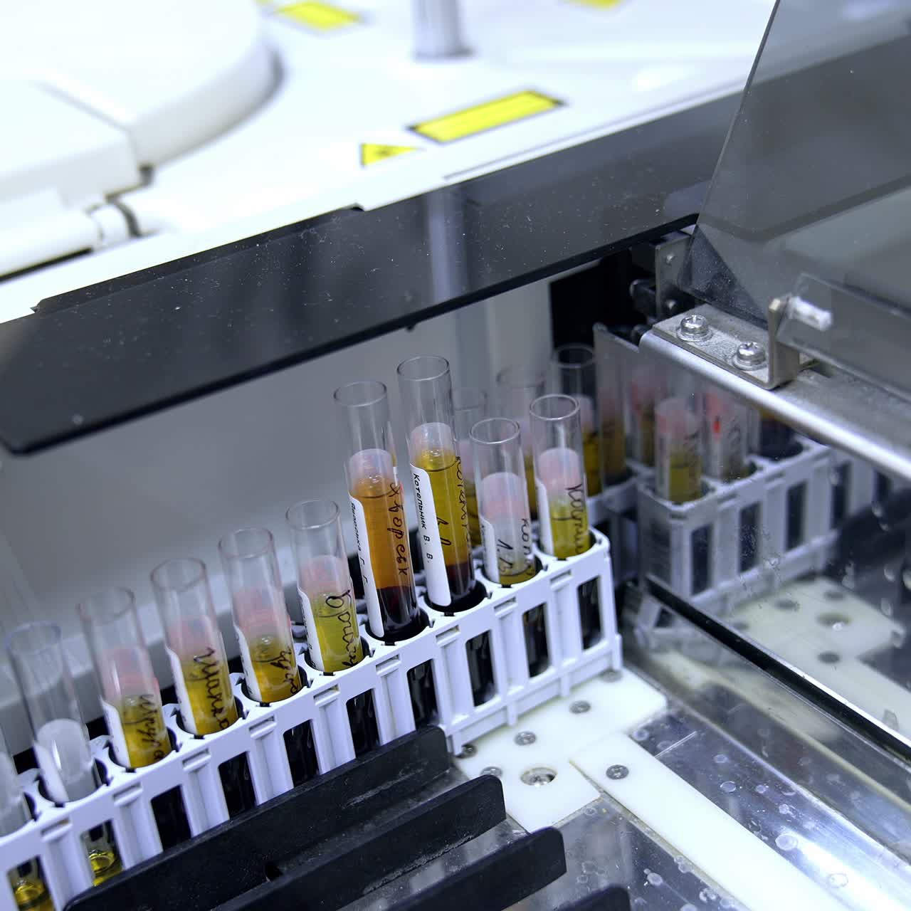Test glasses with handwritten marks on them placed into special holder in machine. Blood test performance in the laboratory with advanced equipment