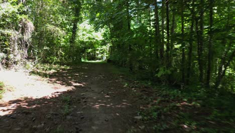 FPV-through-a-wooded-area-to-an-inlet-on-Lake-Lanier