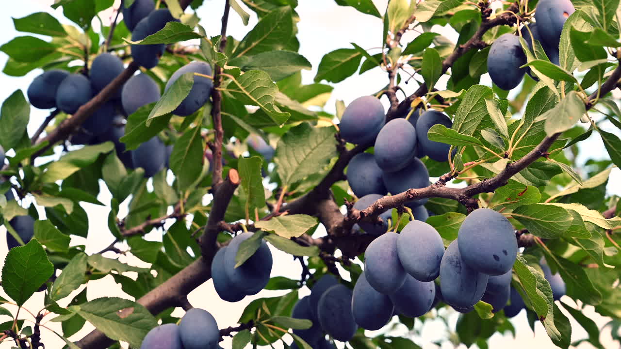 Aerial view of a winding river cutting through farmlands and a small rural village at the base of cliffs