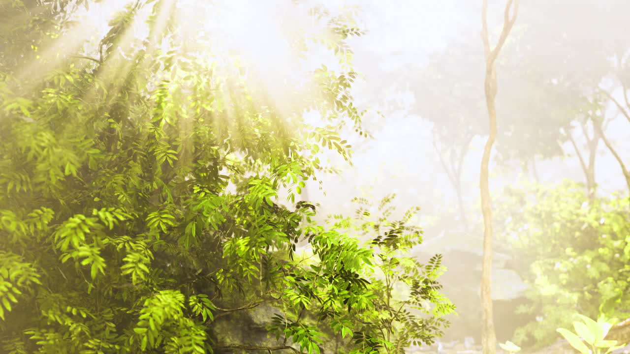Sun rays filter through lush foliage in a serene green forest setting