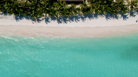 top down aerial of paradise beach resort and turquoise blue sea on white beach, panglao island, bohol, visayas, philippines