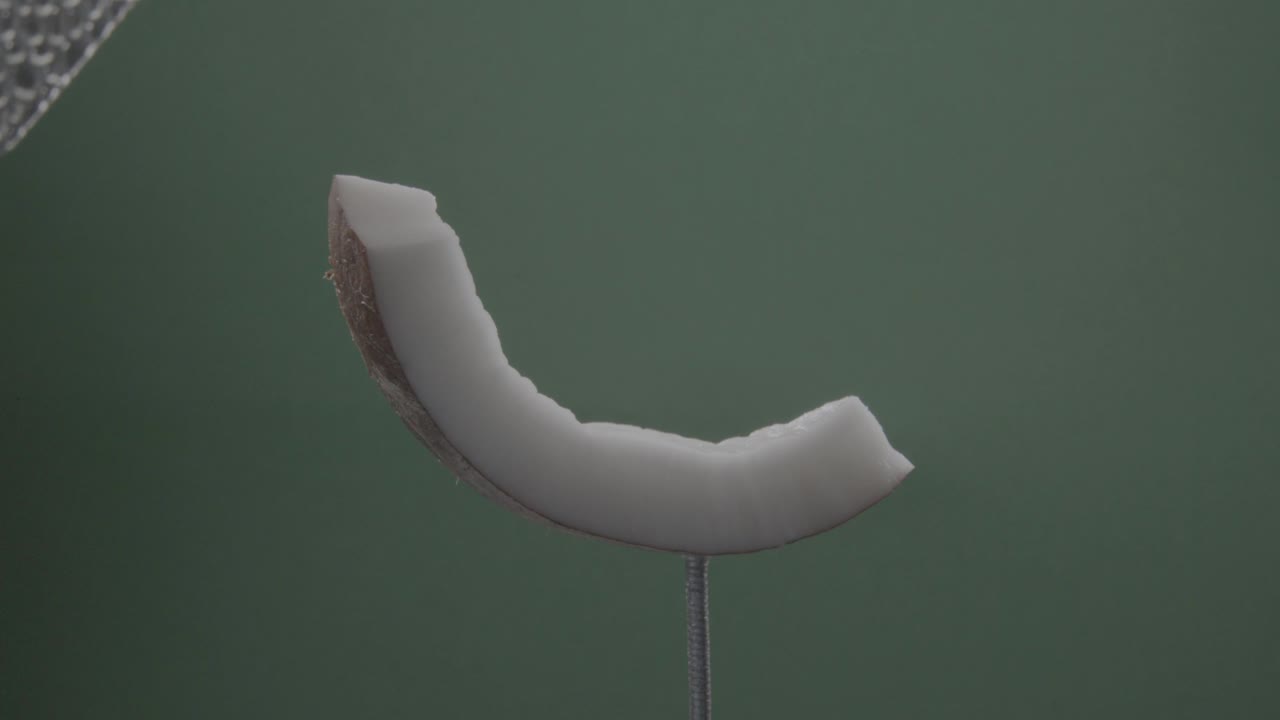 coco girando con bucle en la pantalla verde para la llave de croma