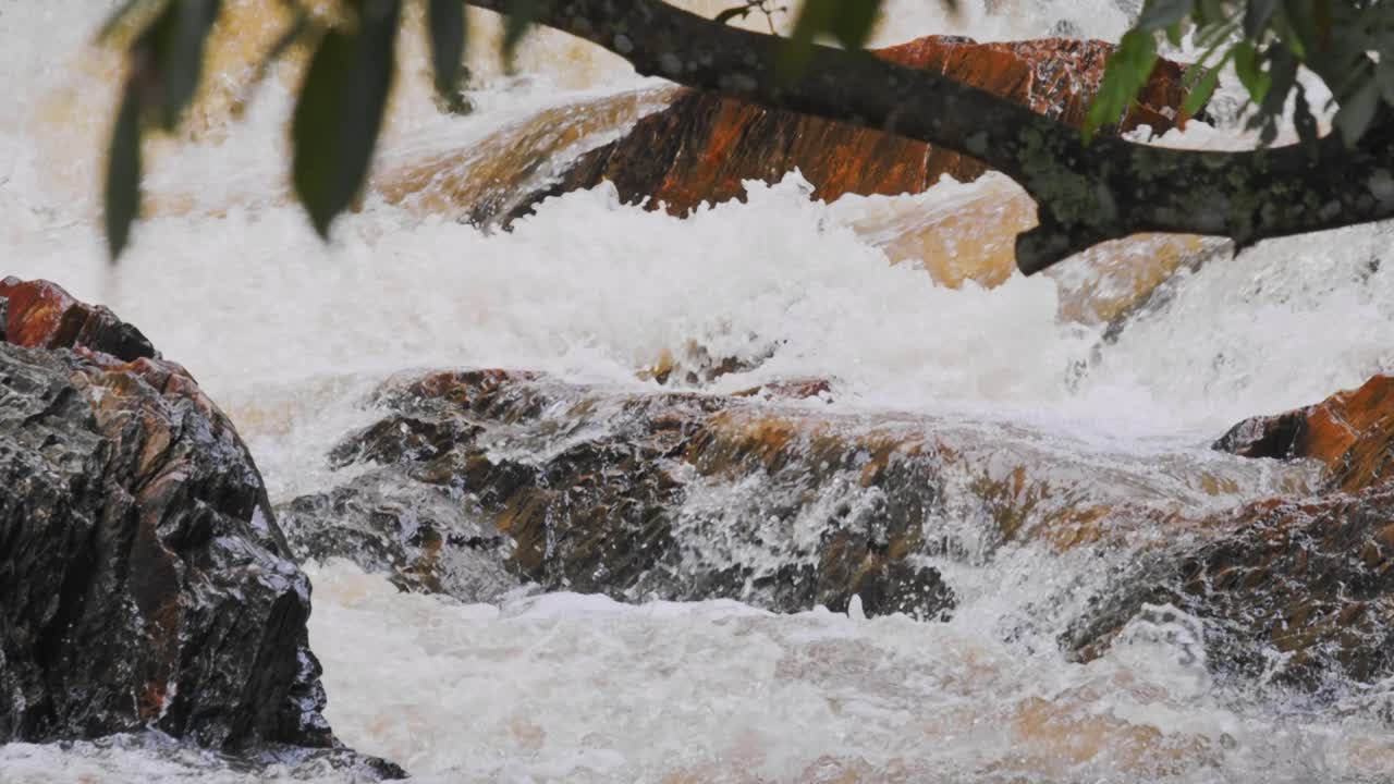 agua de río corriendo en el entorno de la selva amazónica