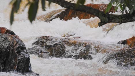 rushing river water in the amazon rainforest environment