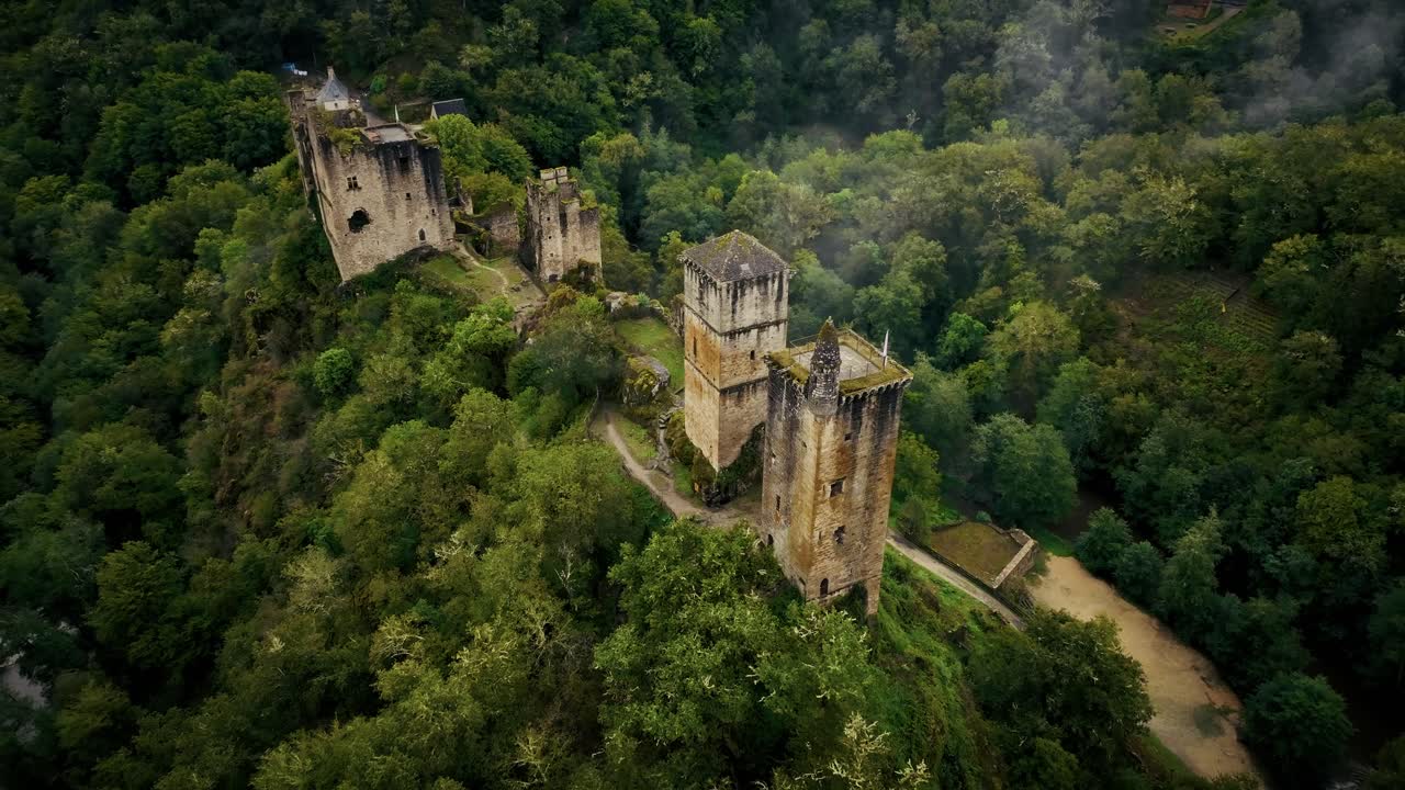 Aerial View of Ancient Castle Ruins in a Lush Forest