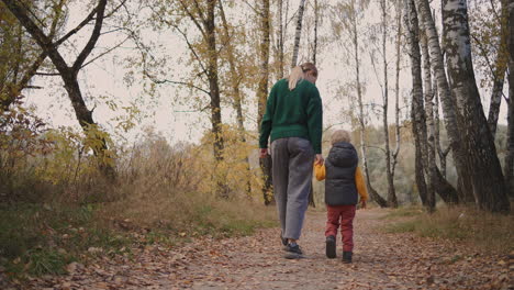 Eine-Junge-Frau-Und-Ihr-Kleiner-Sohn-Verbringen-Tagsüber-Zeit-Im-Herbstwald.-Mutter-Hält-Die-Hand-Ihres-Kindes.-Rückansicht.-Ruhe-In-Der-Natur