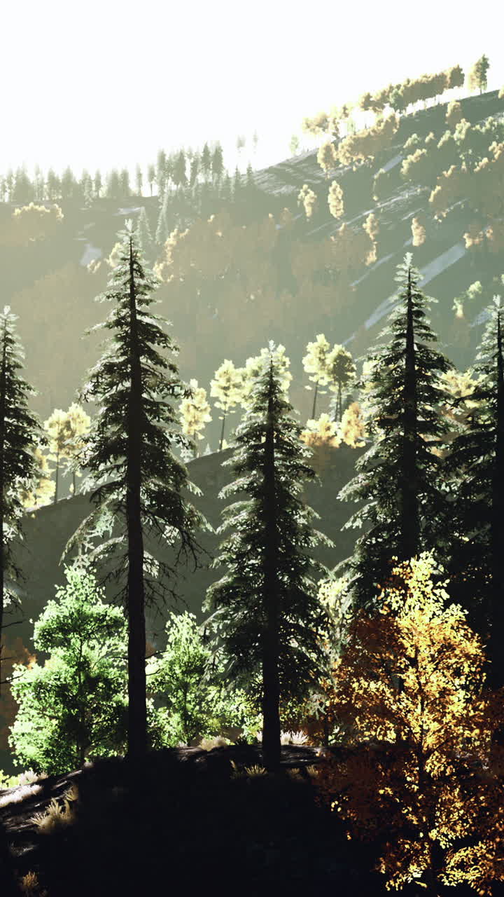 가을 숲 산 풍경