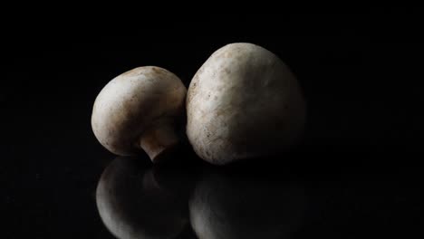 two white mushrooms on black surface